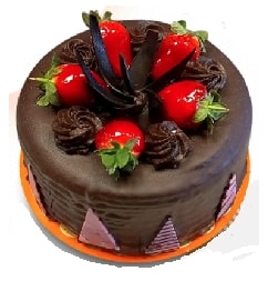 Malatya pasta siparişi 12